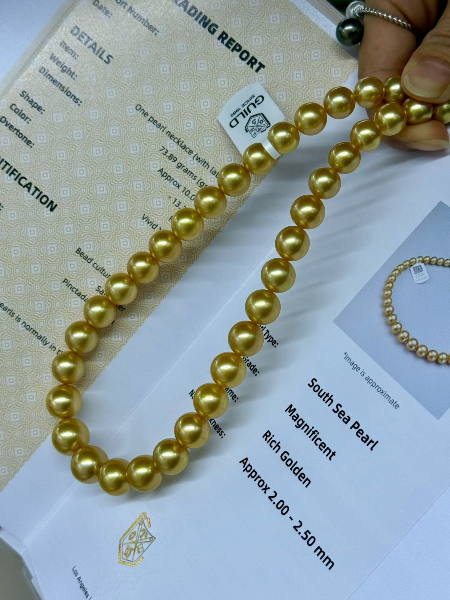 Top quality rich gold color  Golden Southsea pearls necklace