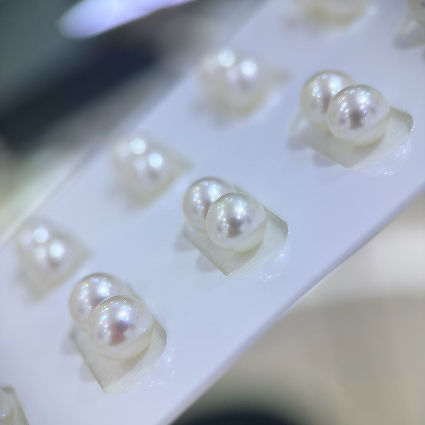 High quality aurora white color seawater akoya pearls earrings studs