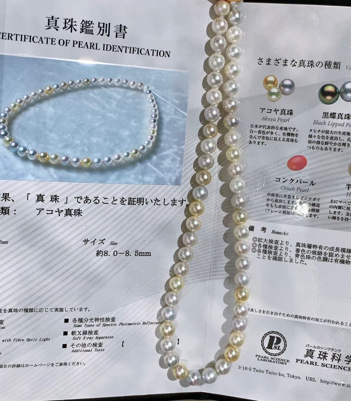 High quality aurora candy color seawater akoya pearls necklace