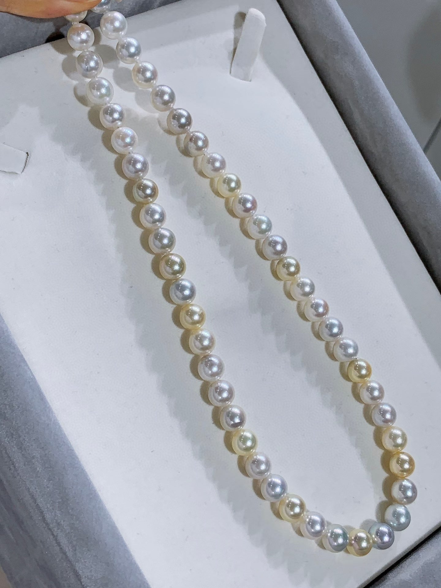 High quality aurora candy color seawater akoya pearls necklace