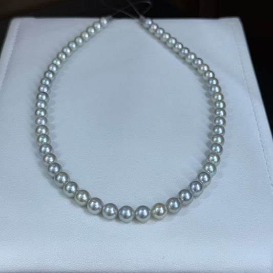 High quality silver grey color seawater MADAMA pearls necklace