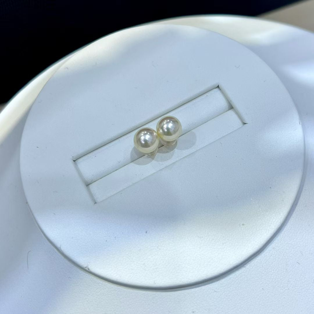 Top quality aurora “feather gold”seawater akoya pearls earrings studs