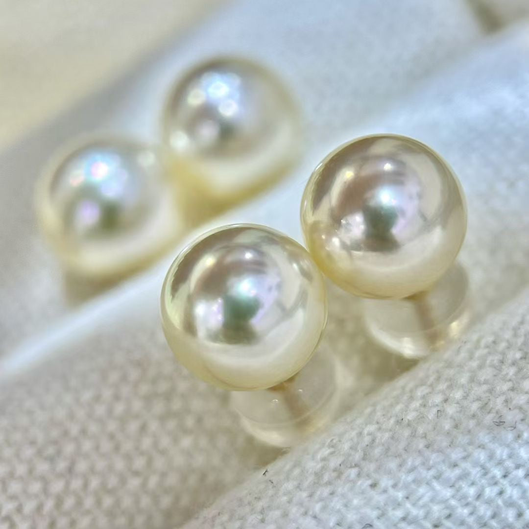 Top quality aurora “feather gold”seawater akoya pearls earrings studs