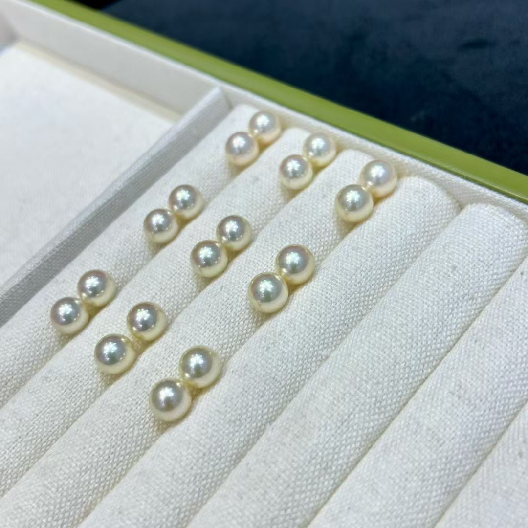 Top quality aurora “feather gold”seawater akoya pearls earrings studs