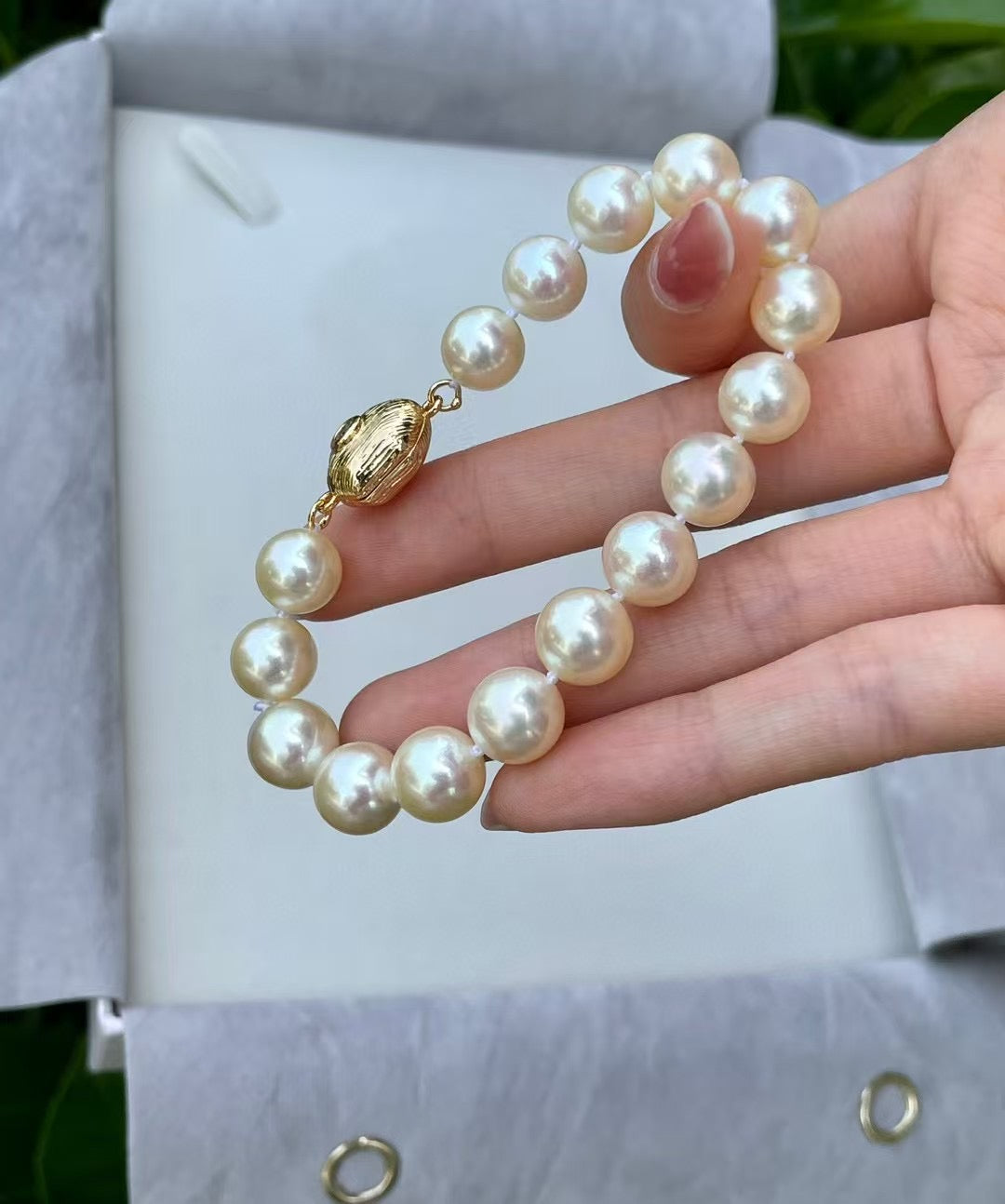 Top quality aurora “feather gold”color seawater akoya pearls bracelet