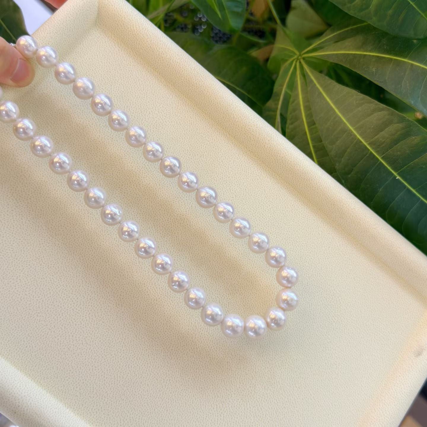 High quality white color Edison pearls necklace
